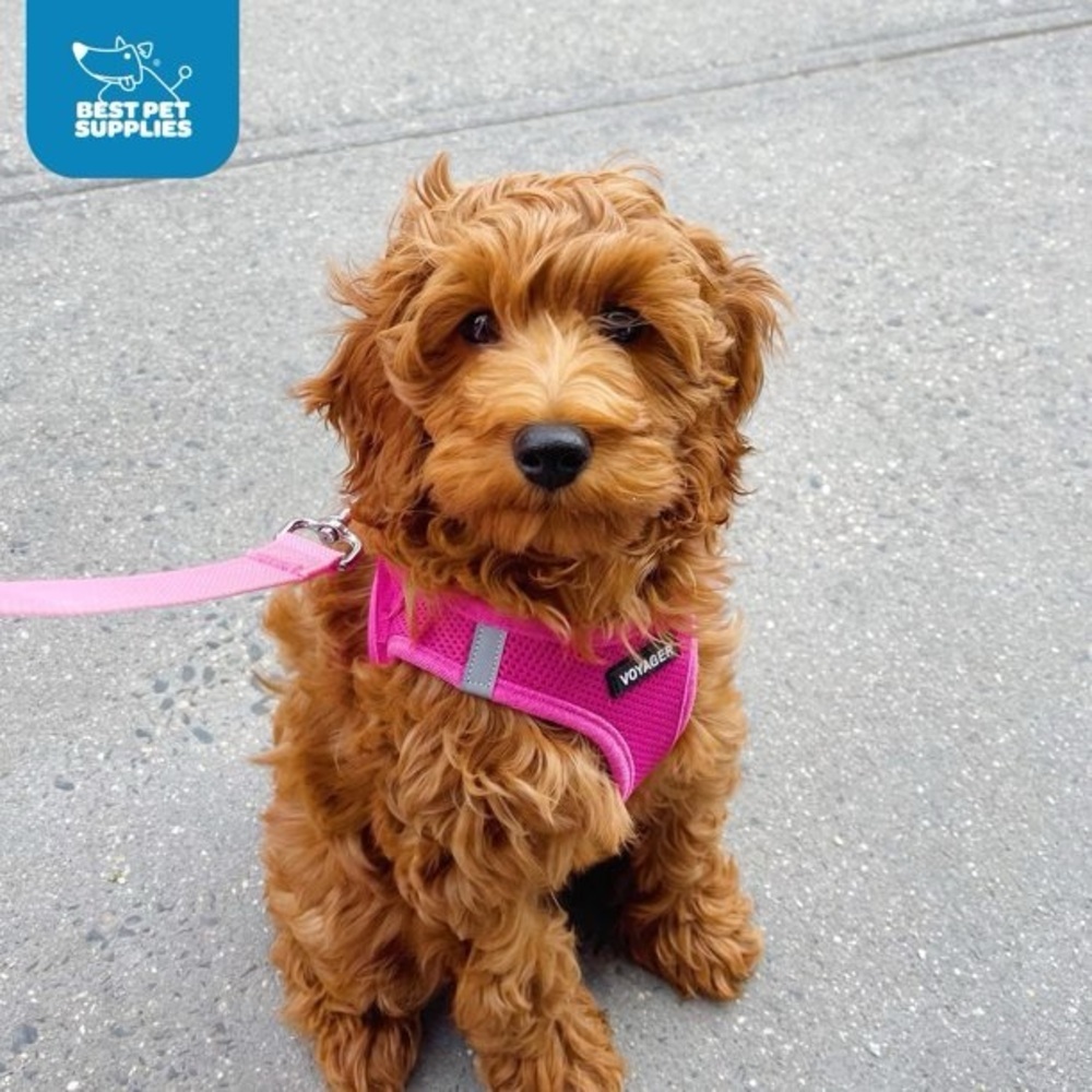 NWT Voyager Step In Air Dog Harness Size Medium Pink